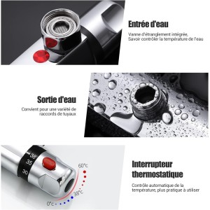 Mitigeur de Douche Thermostatique à Fixation Murale