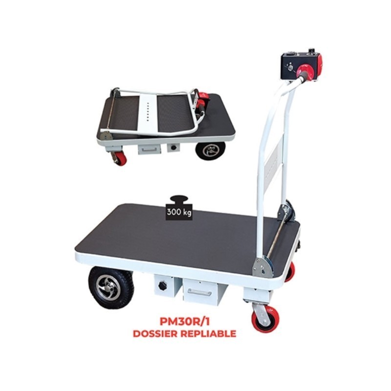 Plateforme motorisée 220 kg
