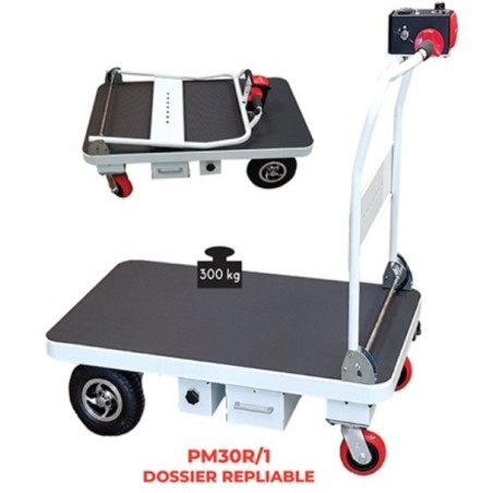 Plateforme motorisée 220 kg