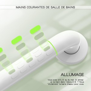 Barre D'appui WC, Barres D'appui de Salle de Bain avec Antidérapante, Poignée de Acier Inox