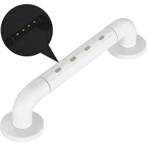 Barre D'appui WC en inox avec Fluorescence