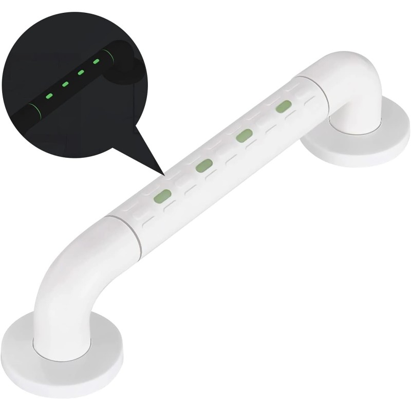 Barre D'appui WC en inox avec Fluorescence Barre D'appui WC en inox avec Fluorescence