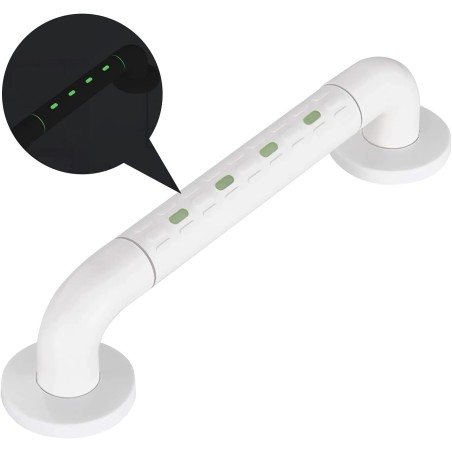 Barre D'appui WC en inox avec Fluorescence