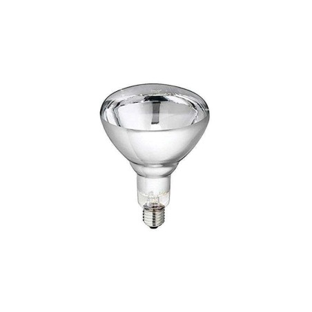 Ampoule pour lampe chauffante 250W