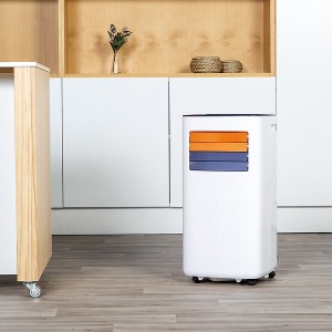 Climatiseur mobile réversible AC 9000 CH