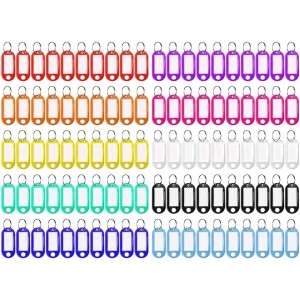 Lot de 100 Porte-clé à Etiquette, 10 Couleurs