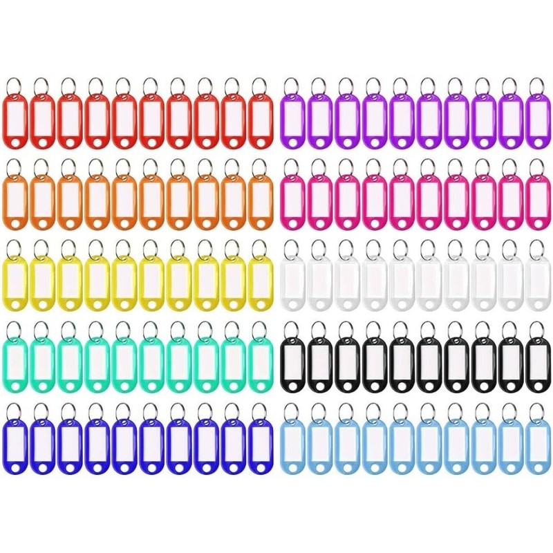Lot de 100 Porte-clé à Etiquette, 10 Couleurs Lot de 100 Porte-clé à Etiquette, 10 Couleurs