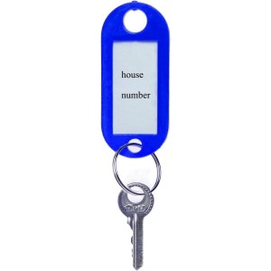 Lot de 100 Porte-clé à Etiquette, 10 Couleurs