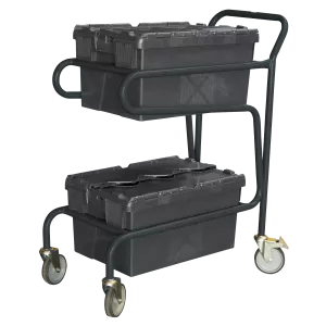 Chariot porte-bacs 2 niveaux capacité 100 kg
