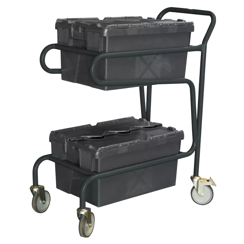 Chariot porte-bacs 2 niveaux capacité 100 kg