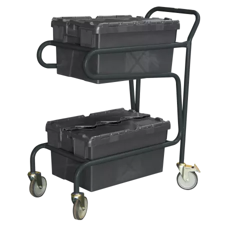 Chariot porte-bacs 2 niveaux capacité 100 kg