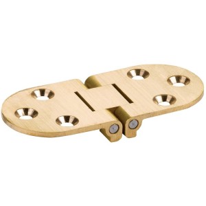 Charnière spéciale - ronde axe inox - 30 x 68 mm