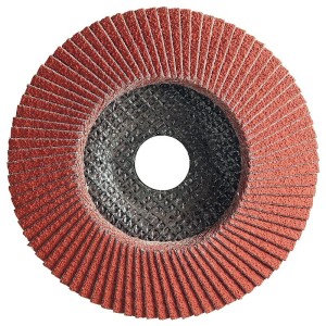 Lot de 10 Disques à lamelles bombés céramique diamètre 125 mm