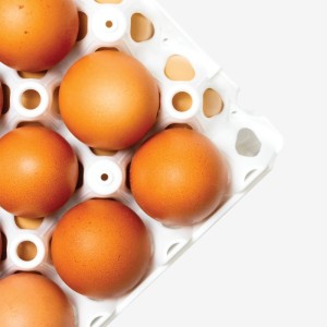 Lot de 6 casiers Alvéoles à oeufs - 30 oeufs  - blanc