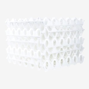Lot de 6 casiers Alvéoles à oeufs - 30 oeufs  - blanc