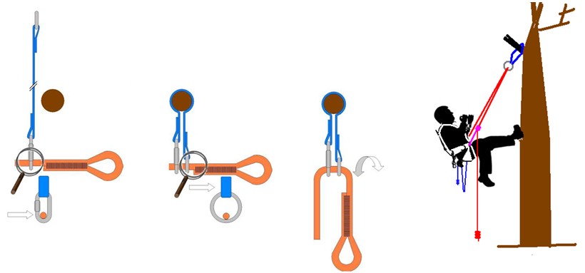 Longe d’ancrage pour arbres