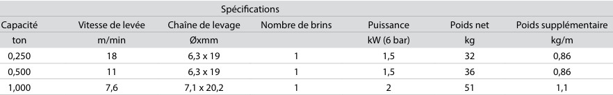 Palan pneumatique à chaîne ATEX 2 levée de 250 kg à 1 T.