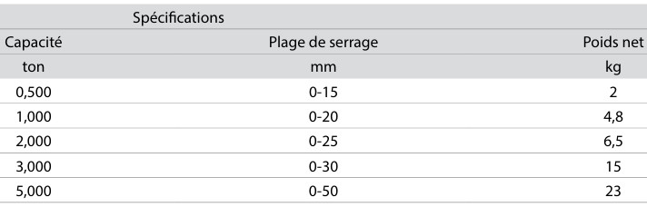 Pince pour levage et le transport de tôles et poutres en acier